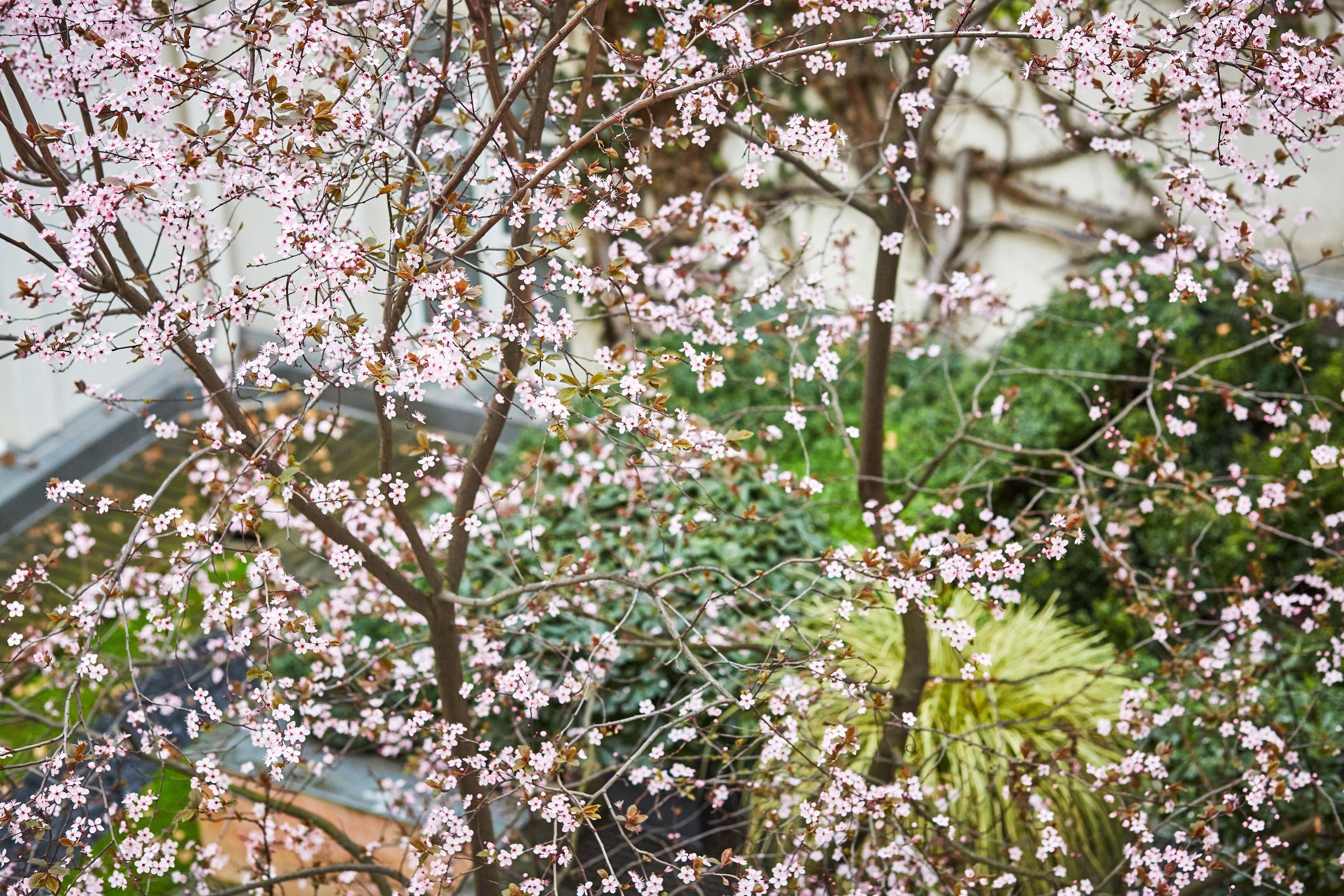 Hotel Le Pavillon De La Reine & Spa, Place Des Vosges Parigi